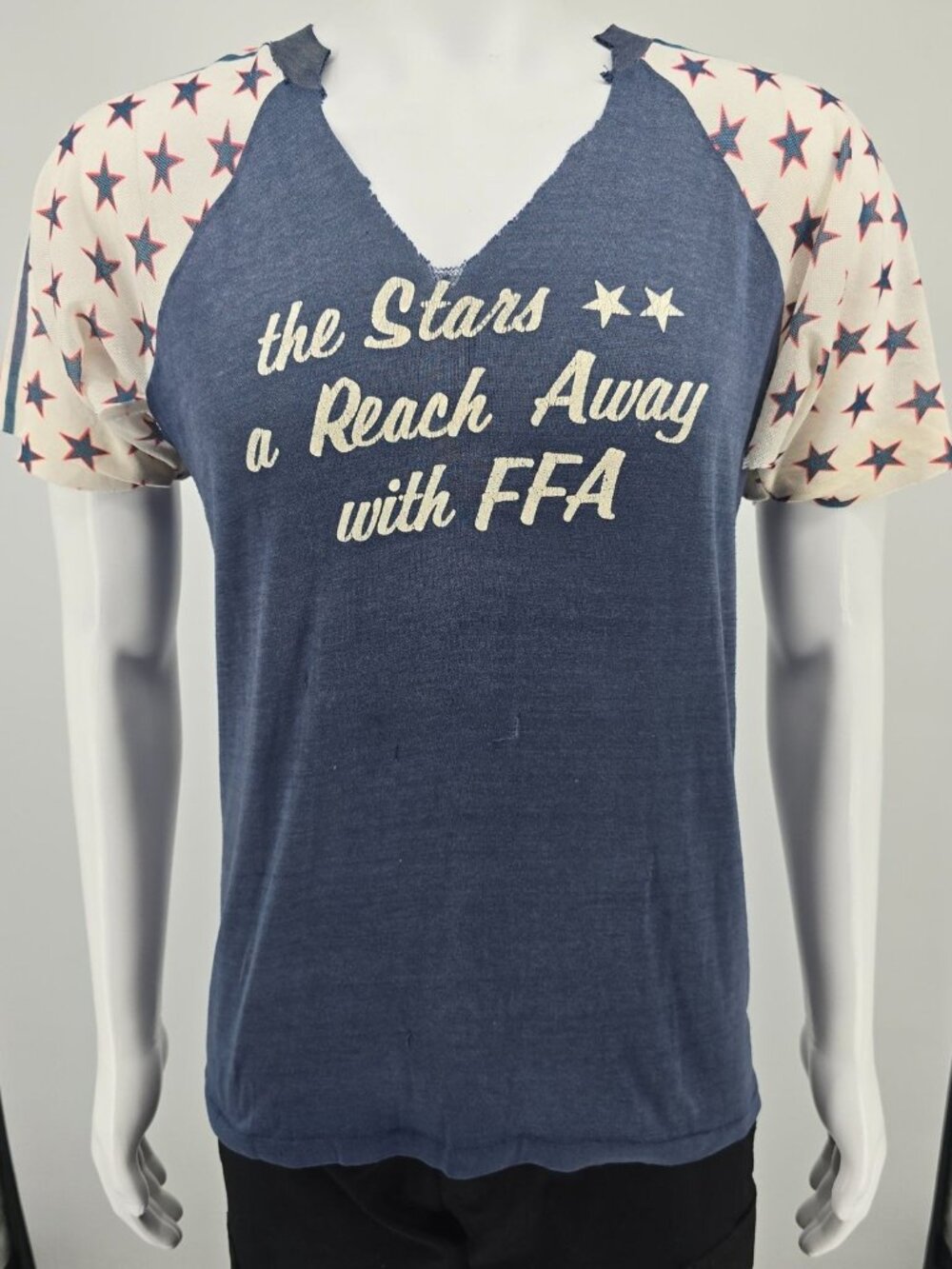 Thrashed Vintage 1970s Future Farmers of America FFA Raglan Sleeve T-Shirt (M)